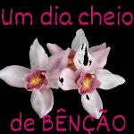 GOOD NIGHT