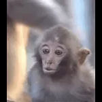 爷爷奶奶在舞厅里翩翩起舞，他们看起来很开心。