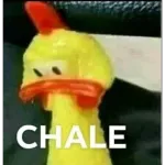 Esperame Deja pienso