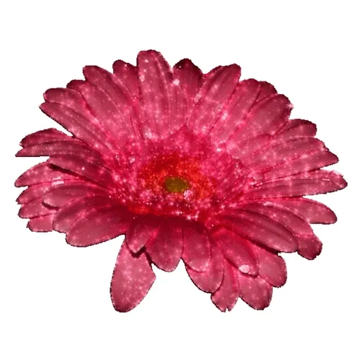 I always remember loving u