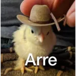 ddd