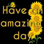 Have an amazing day