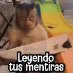                              Changuitos Reacciones! 🐵🐒TOP STICKERS