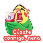 Feliz fin de semana