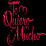 I love you