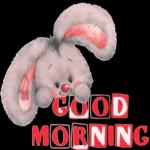 Spend the day wiht your loved ones