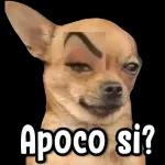 ...