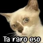 2496maco