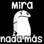 2496maco