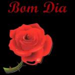 TE AMO DEMAIS