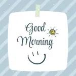 Morning ☀️