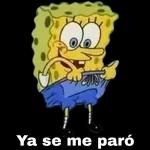 stico