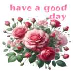 have a color day