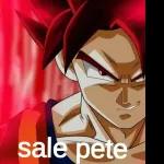 SUPER GOKU